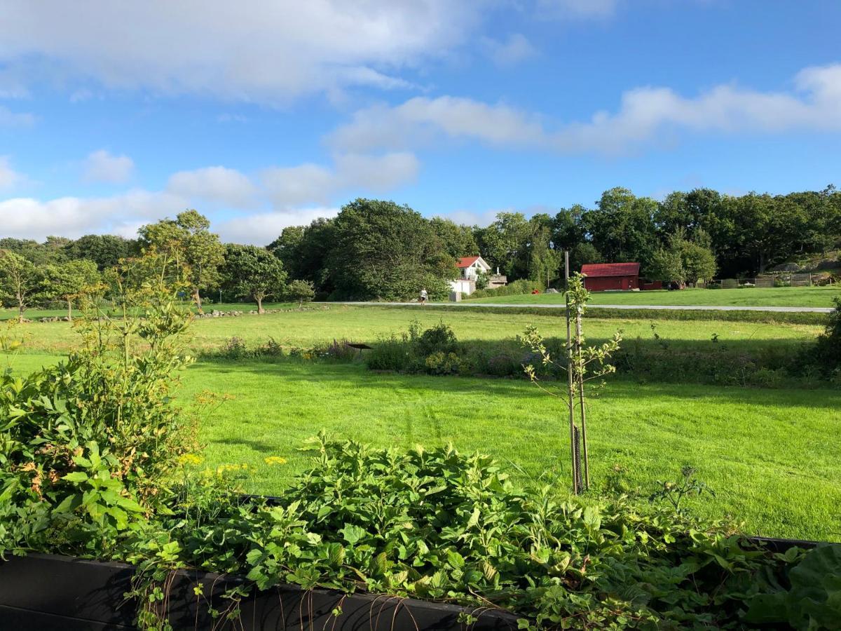 Mysig Nybyggd Stuga Naera Hav Och Natur Klovedal Exterior foto